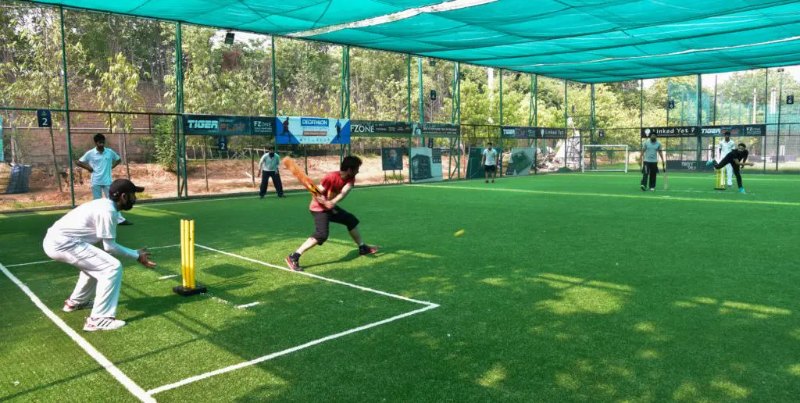 Cricket Pitch